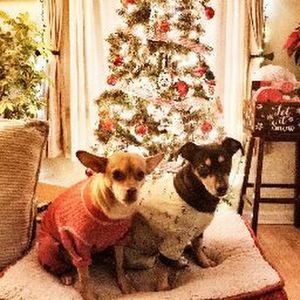 Meet your Posher, Colin